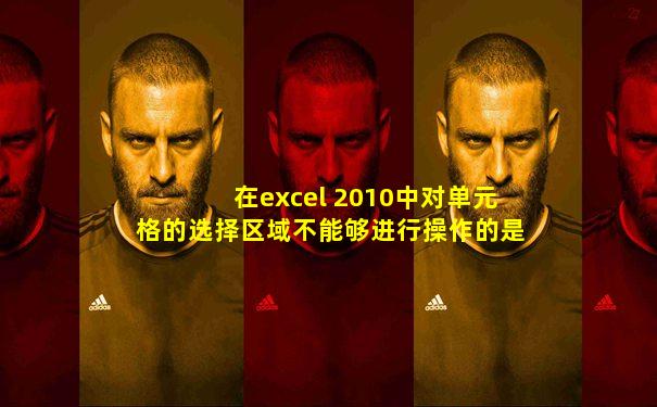 在excel 2010中对单元格的选择区域不能够进行操作的是